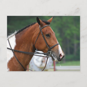 Carte Postale Personnaliser