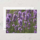 Carte Postale Personnaliser (Devant / Derrière)