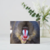 Carte Postale Personnaliser (Debout devant)