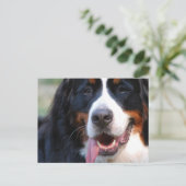 Carte Postale Personnaliser (Debout devant)