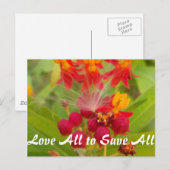 Carte Postale Personnaliser (Devant / Derrière)