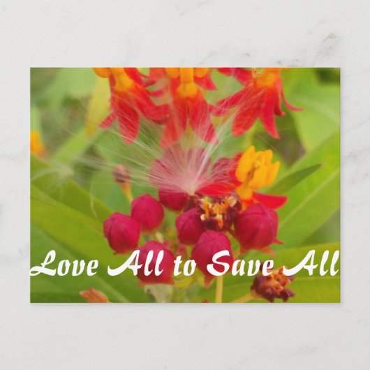 Carte Postale Personnaliser (Devant)