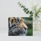 Carte Postale Personnaliser (Debout devant)