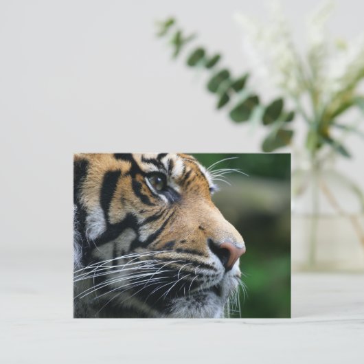 Carte Postale Personnaliser (Debout devant)