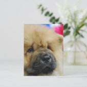 Carte Postale Personnaliser (Debout devant)
