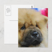 Carte Postale Personnaliser (Devant / Derrière)