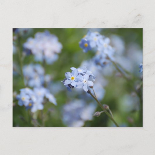 Carte Postale Personnaliser (Devant)