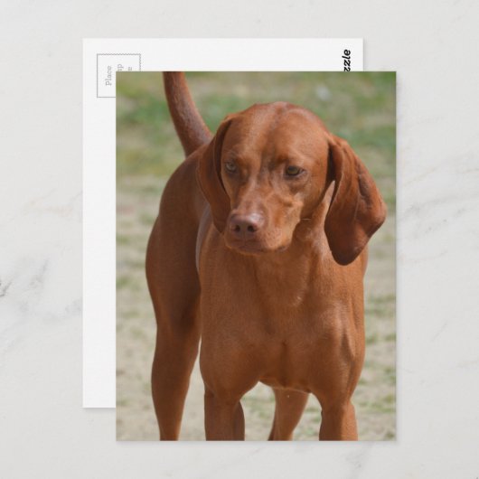 Carte Postale Personnaliser (Devant / Derrière)