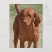 Carte Postale Personnaliser (Devant)