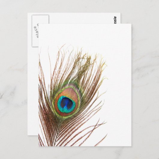 Carte Postale Personnaliser (Devant / Derrière)