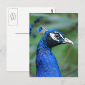 Carte Postale Personnaliser (Devant / Derrière)