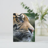 Carte Postale Personnaliser (Debout devant)