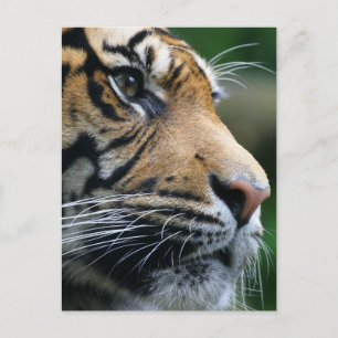 Carte Postale Personnaliser