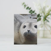 Carte Postale Personnaliser (Debout devant)