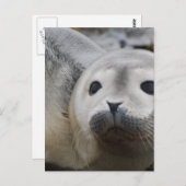 Carte Postale Personnaliser (Devant / Derrière)