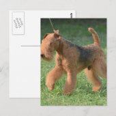 Carte Postale Personnaliser (Devant / Derrière)