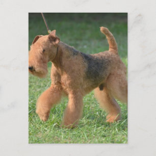 Carte Postale Personnaliser