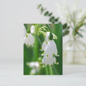 Carte Postale Personnaliser (Debout devant)