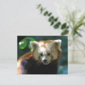 Carte Postale Personnaliser (Debout devant)