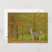 Carte Postale Personnaliser (Devant / Derrière)