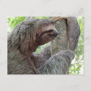 Carte Postale Personnaliser