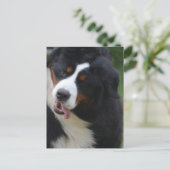 Carte Postale Personnaliser (Debout devant)