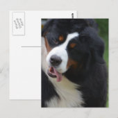 Carte Postale Personnaliser (Devant / Derrière)