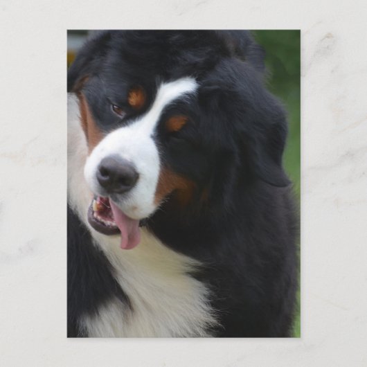 Carte Postale Personnaliser (Devant)