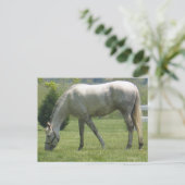Carte Postale Personnaliser (Debout devant)