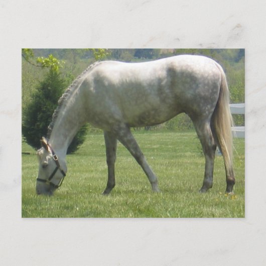 Carte Postale Personnaliser (Devant)