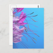 Carte Postale Personnaliser avec son propre message (Devant / Derrière)