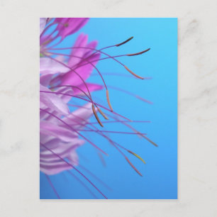 Carte Postale Personnaliser avec son propre message