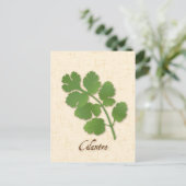 Carte postale Personnaliser Cilantro Herb (Debout devant)