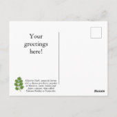 Carte postale Personnaliser Cilantro Herb (Dos)