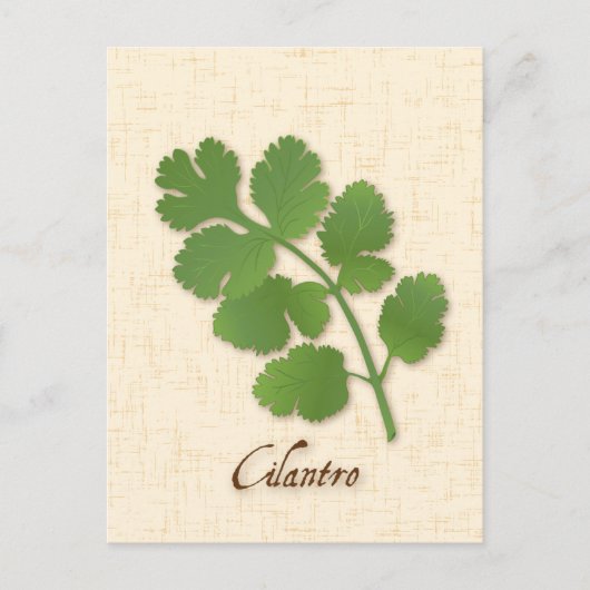 Carte postale Personnaliser Cilantro Herb (Devant)