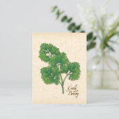 Carte postale Personnaliser Curly Parsley Herb (Debout devant)