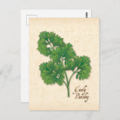 Carte postale Personnaliser Curly Parsley Herb (Devant / Derrière)