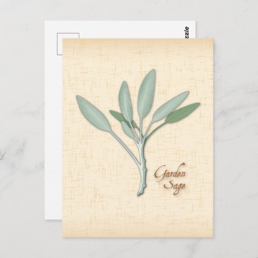 Carte postale Personnaliser Garden Sage Herb (Devant / Derrière)