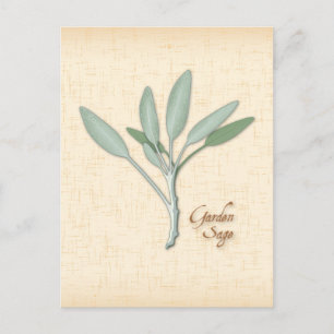 Carte postale Personnaliser Garden Sage Herb