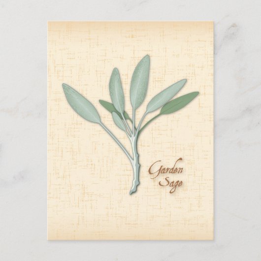 Carte postale Personnaliser Garden Sage Herb (Devant)