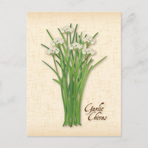 Carte postale Personnaliser Garlic Chives Herb