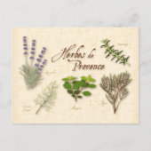 Carte postale Personnaliser Herbes de Provence (Devant)