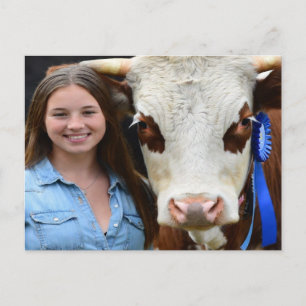 Carte Postale Personnaliser la photo de vache de spectacle de bé