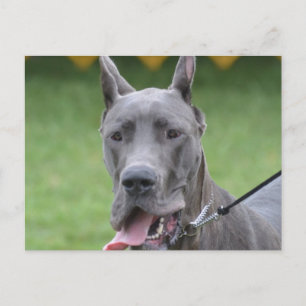 Carte Postale Personnaliser le produit