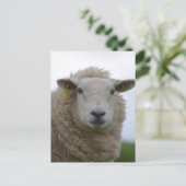 Carte Postale Personnaliser le produit (Debout devant)