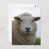 Carte Postale Personnaliser le produit (Devant / Derrière)