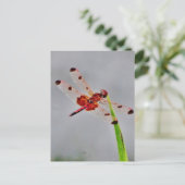 Carte Postale Personnaliser le produit (Debout devant)