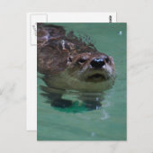 Carte Postale Personnaliser le produit (Devant / Derrière)