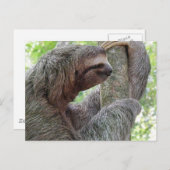 Carte Postale Personnaliser le produit (Devant / Derrière)