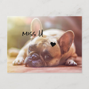 Carte Postale Personnaliser mignonne Doggy
